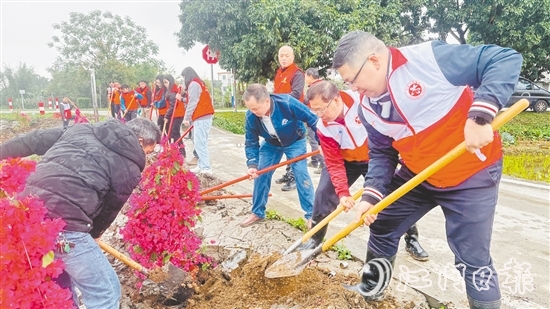 黨員干部、村民代表合力栽下樹(shù)苗，為公路沿線增添一抹生機(jī)。