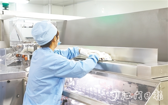 在生物醫(yī)藥產(chǎn)業(yè)領(lǐng)域，開平市聚焦生產(chǎn)制造端，在珠江西岸率先構(gòu)建起“原料藥—化藥制劑—醫(yī)療器械—流通服務(wù)—終端需求”的垂直整合型產(chǎn)業(yè)生態(tài)。圖為廣東彼迪藥業(yè)有限公司生產(chǎn)車間。