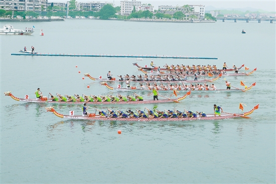 “嘉士利杯”2025年開(kāi)平市國(guó)際龍舟邀請(qǐng)賽在潭江舉行。