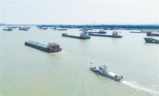 臺(tái)風(fēng)來(lái)臨前，大批外地船舶有序進(jìn)入江門(mén)銀洲湖、潭江、西江等水域避風(fēng)。