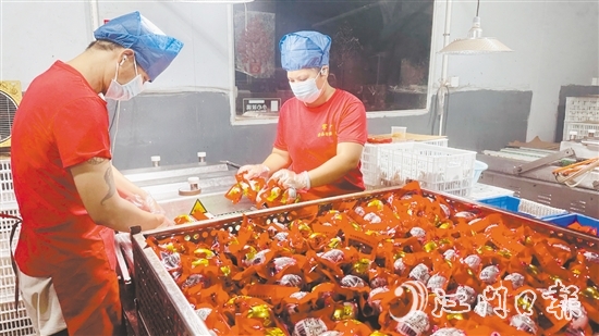 赤水鎮(zhèn)依托麻鴨養(yǎng)殖傳統(tǒng)優(yōu)勢，錨定“精深加工”做文章。