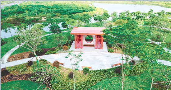 市政協(xié)攜手社會(huì)各界以實(shí)際行動(dòng)推進(jìn)綠美江門生態(tài)建設(shè)。圖為“同心林”。