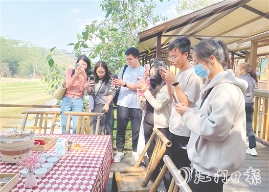 今年3月，開平市組織市重點(diǎn)自媒體走進(jìn)大沙鎮(zhèn)開展花海茶田系列采風(fēng)活動。