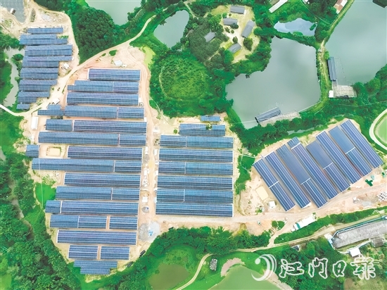 光伏板發(fā)的電不僅滿足養(yǎng)雞場自身需求，還能并入電網(wǎng)，產(chǎn)生經(jīng)濟(jì)效益。