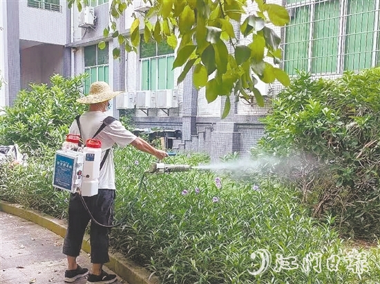 臺山發(fā)動全市力量，從環(huán)境整治、科學(xué)消殺到宣傳教育，開展一場全域動員、全民參與的防蚊滅蚊攻堅(jiān)戰(zhàn)。