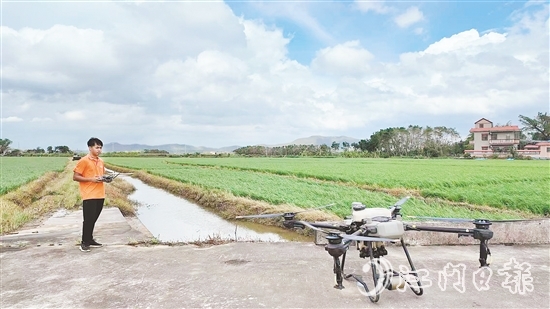 臺(tái)山組織無(wú)人機(jī)機(jī)手分赴各村，爭(zhēng)分奪秒推進(jìn)晚稻噴藥施肥工作。