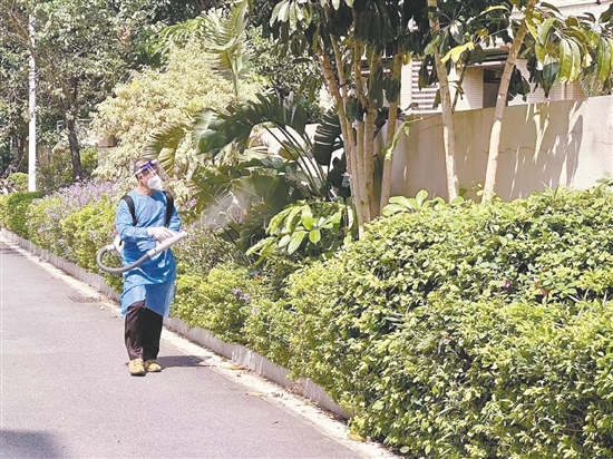 江門市江華小學對校園內(nèi)外進行蚊蟲消殺。