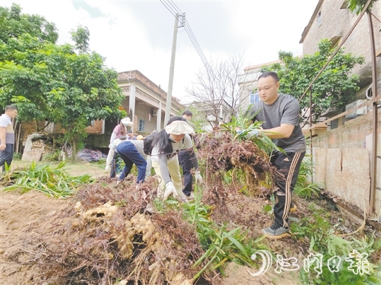 沙坪街道林屋村開展“兩清一滅”行動。