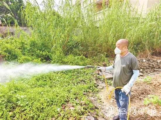 馮伙強改裝的噴霧器滅蚊效果良好，廣受村民稱贊。
