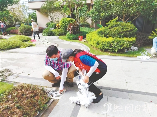 工作人員在樓盤集水井投放滅蚊藥包。