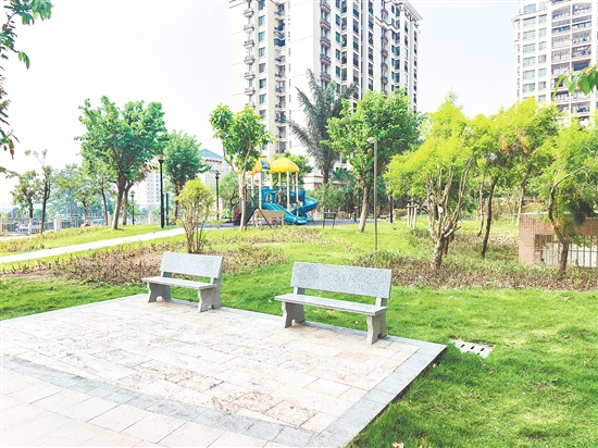 如今的南湖灣小區(qū)環(huán)境干凈整潔，蚊蟲明顯減少。