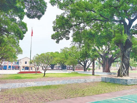 圖為臺(tái)山市越華中學(xué)和蓬江區(qū)紫茶豐雅小學(xué)。