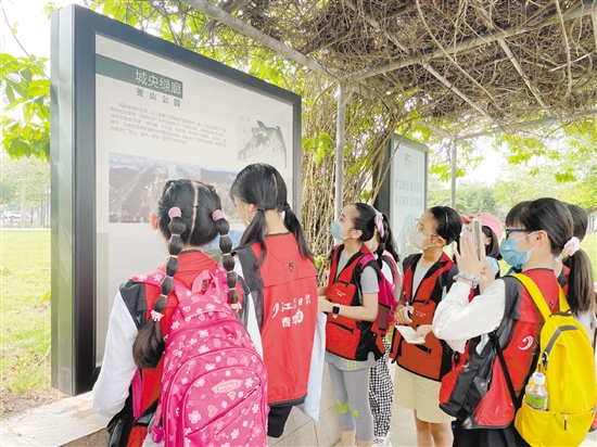 小記者們邊走邊看，感受江海城市品質(zhì)提升。