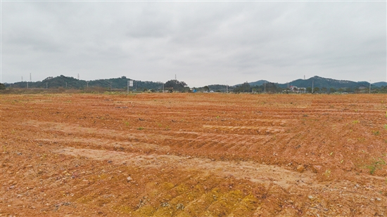 該地塊位于新會區(qū)江睦新能源雙碳產(chǎn)業(yè)園新中公路北側(cè)、勝利南路南延線西側(cè)。